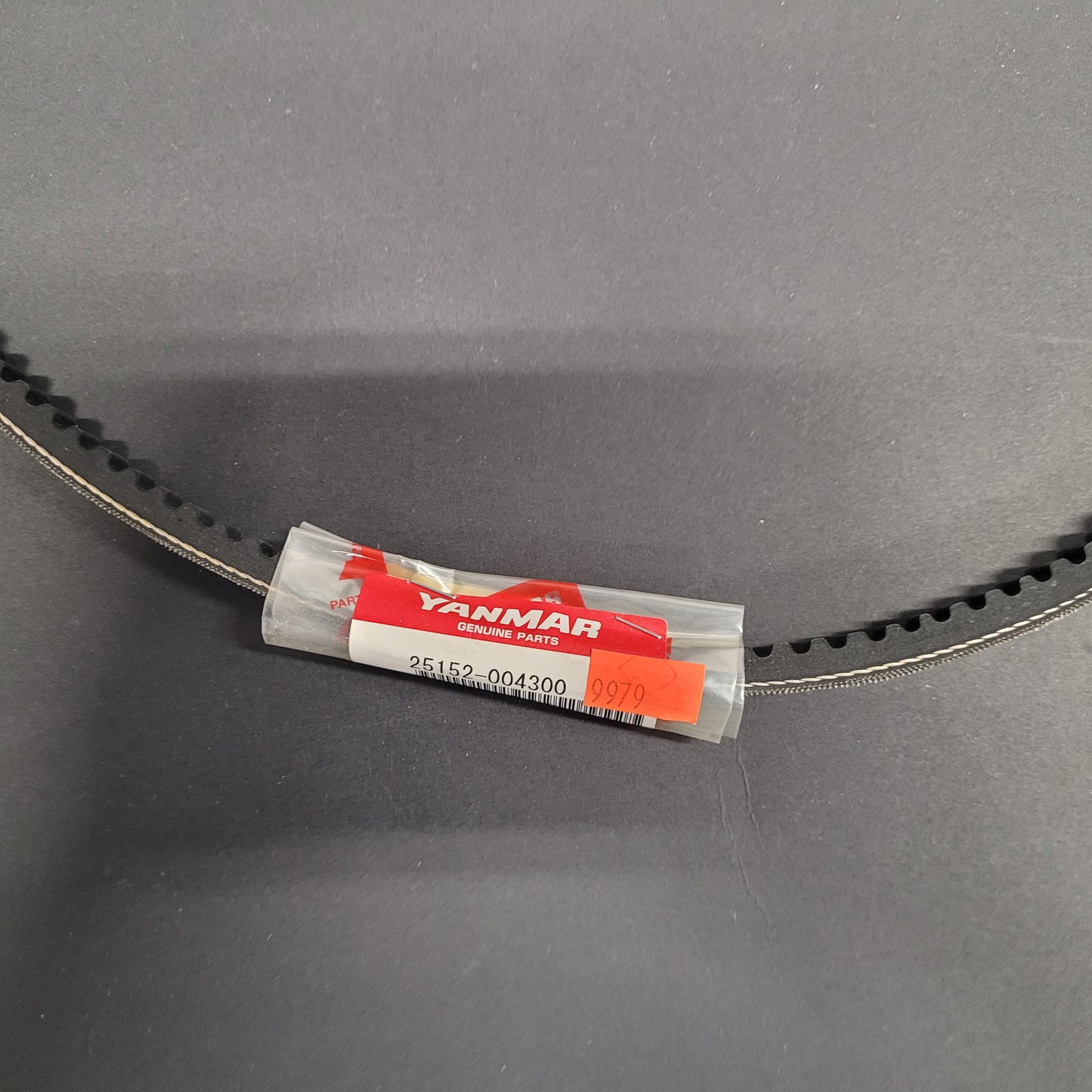 Yanmar V-BELT A43