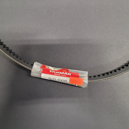 Yanmar V-BELT A43
