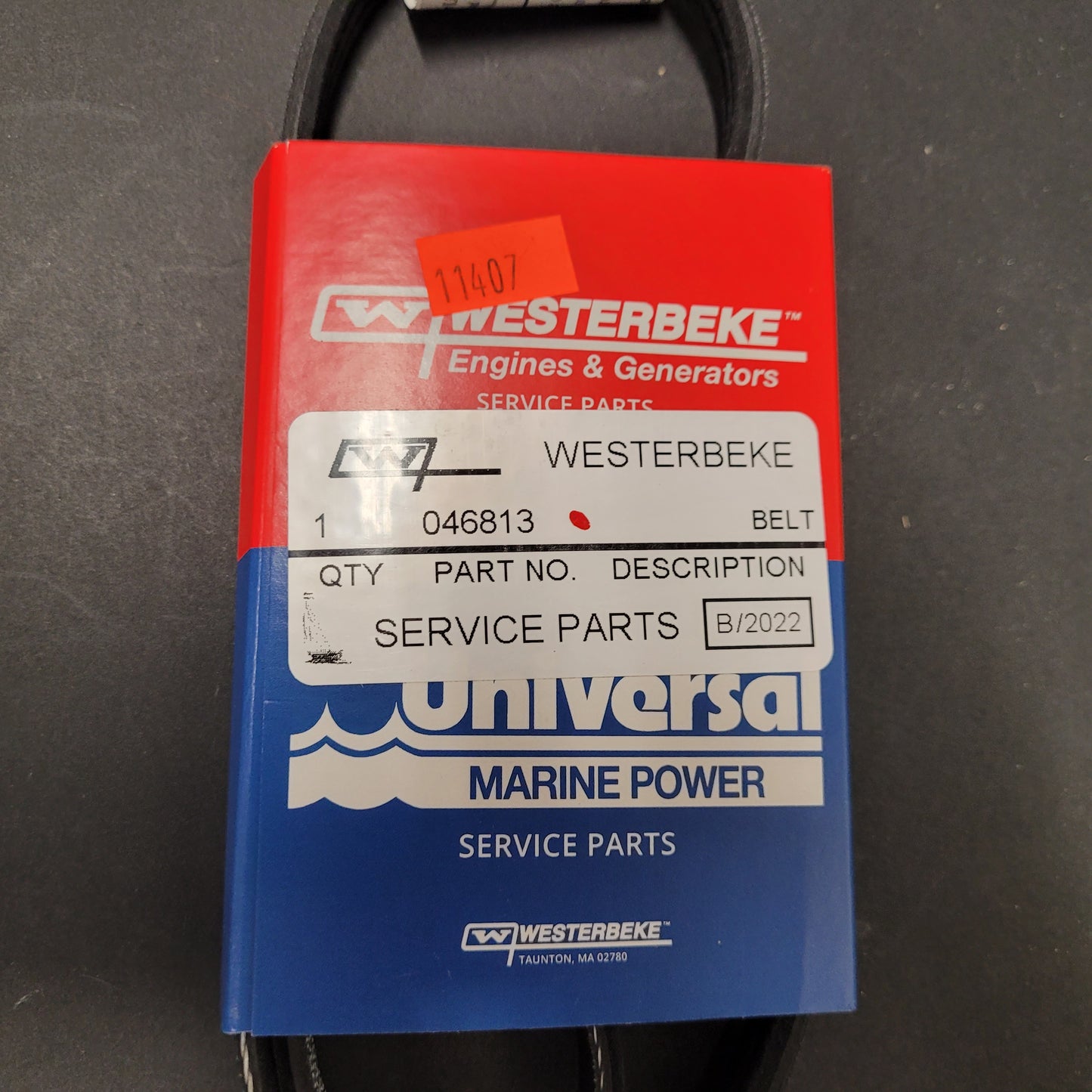 Universal/Westerbeke Belt