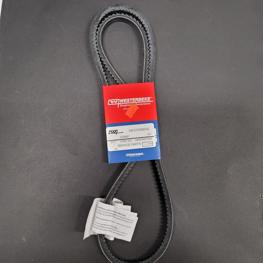 Universal/Westerbeke BELT,COG